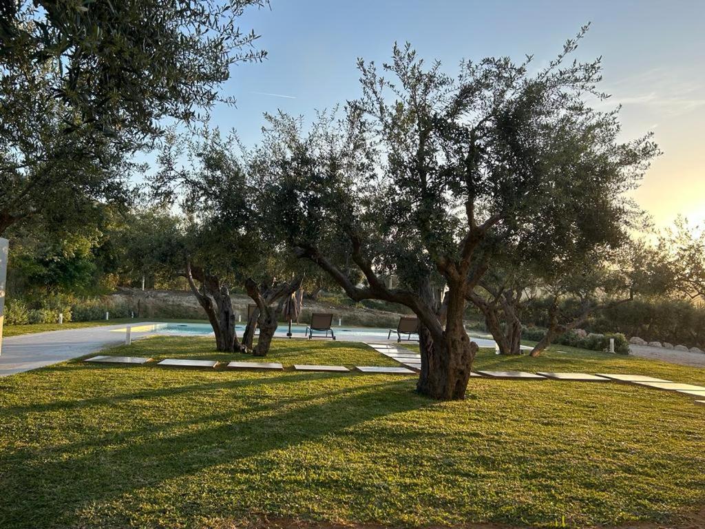 Civetta Blu Bed and Breakfast Castellammare del Golfo Exterior foto