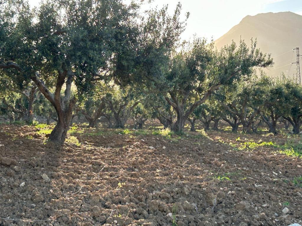 Civetta Blu Bed and Breakfast Castellammare del Golfo Exterior foto